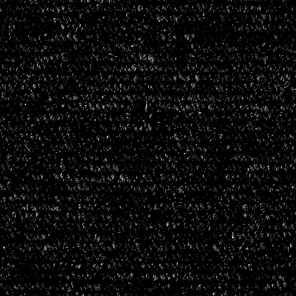 Objektový koberec MAMMUT 8029, Šíře role Šíře role 4m