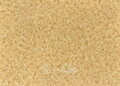 PVC podlaha ORION Borelli 062