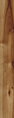 KAINDL Easy Touch 8.0 premium P80070 Hickory BRAVO