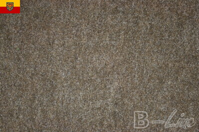 Vpichový koberec AVENUE barva 0300