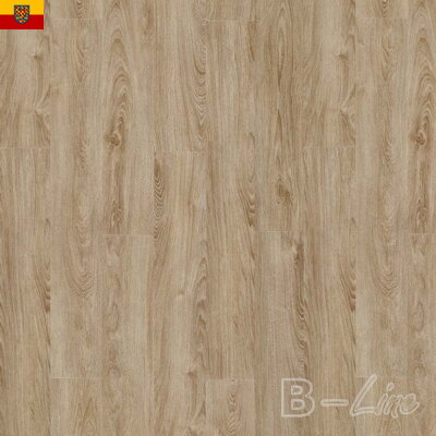 Vinylová podlaha MODULEO Select 22231