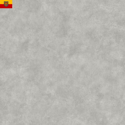 PVC podlaha TRAFFIC 644-03