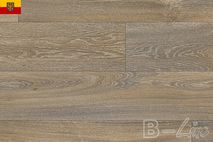 PVC podlaha AMBIENT Havanna Oak 669D