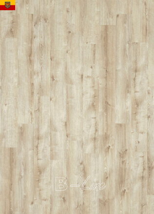 Vinylová podlaha MODULEO ROOTS 55 EIR Galway Oak 87269