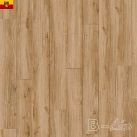 Vinylová podlaha MODULEO Select 24837