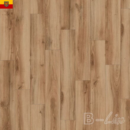 Vinylová podlaha MODULEO Select 24844