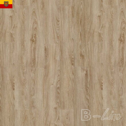 Vinylová podlaha MODULEO Select 22231