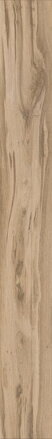 KAINDL Classic Touch 8.0 standard 37663 Dub TORTONA
