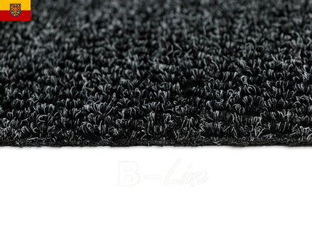 Čistící koberec PARIJS 20