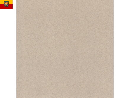 PVC podlaha DIAMOND EXTRA T21 béžový