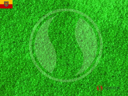 Travní koberec GREEN 