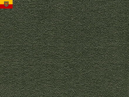 Bytový koberec FELIZ 026