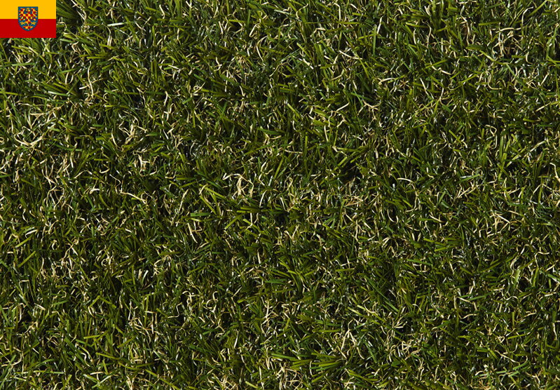 Travní koberec EASY LAWN BOTANIC