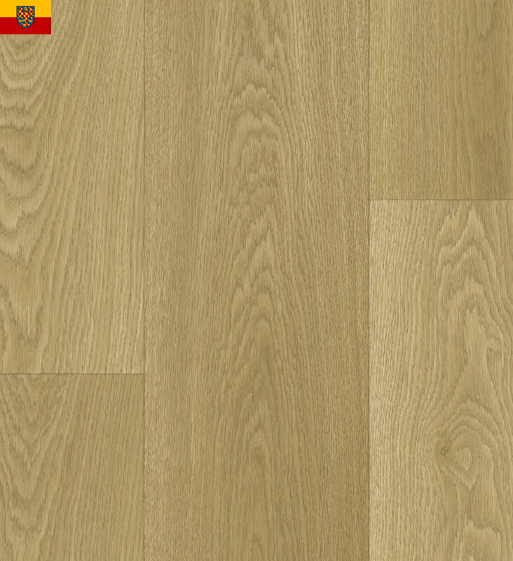 PVC podlaha TRAFFIC 605-17