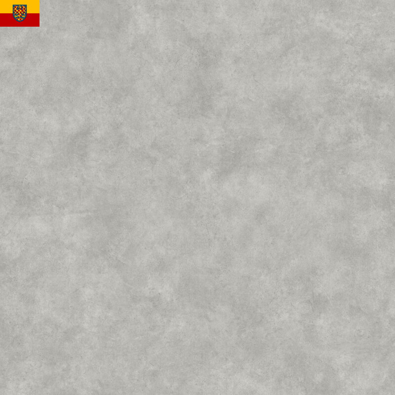 PVC podlaha TRAFFIC 644-03