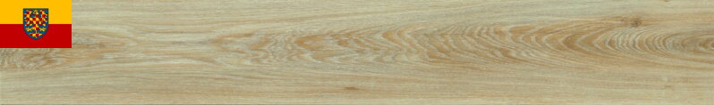 MODULEO TRANSFORM 22220 Blackjack Oak