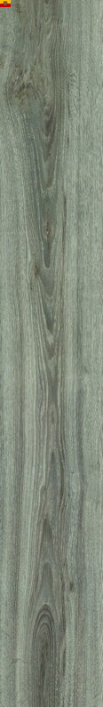 MODULEO TRANSFORM 22937 Blackjack Oak 