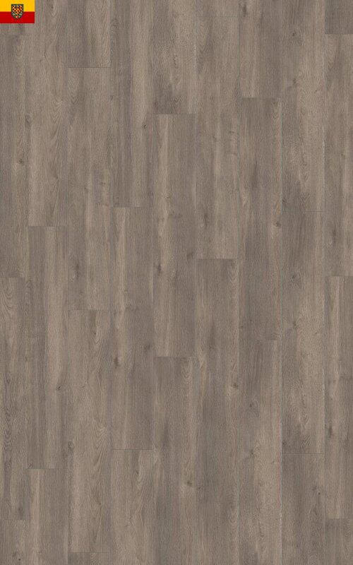 Laminátová podlaha Eurowood PURUS 8mm Dub STŘÍBRNÝ D6013 V4