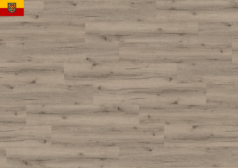 Vinylová podlaha KPP X-CELENT WOOD 62021 Dub Pistacia