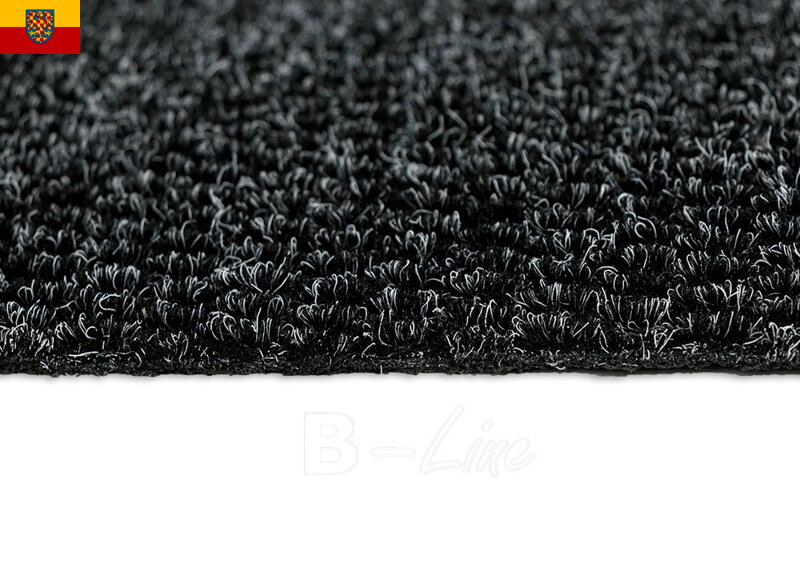 Čistící koberec PARIJS 20