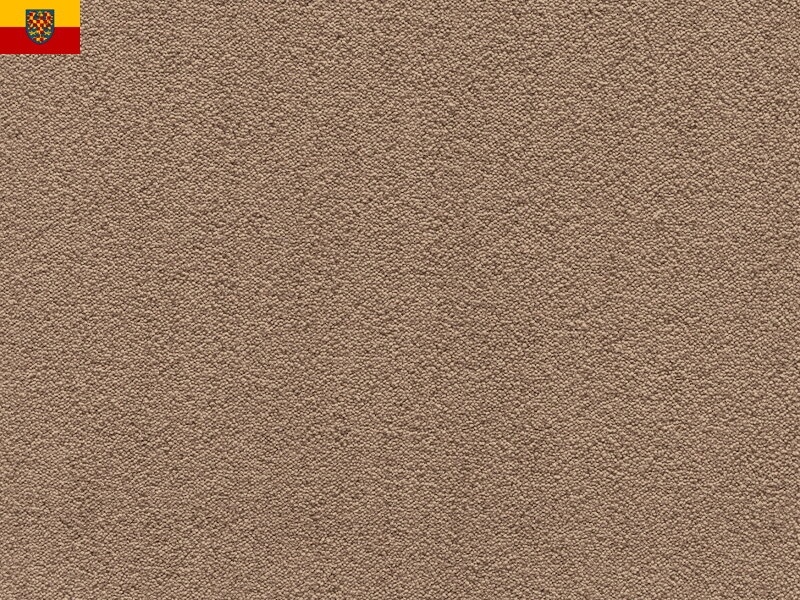 Bytový koberec FELIZ 034