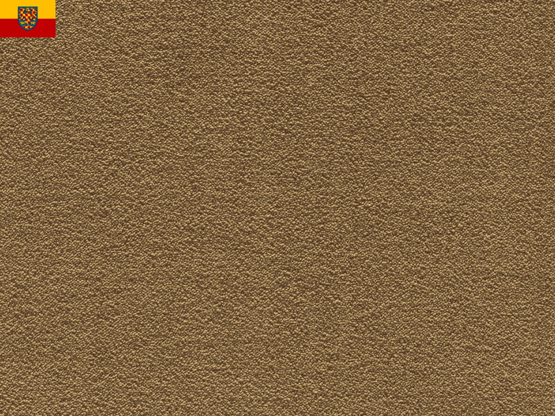 Bytový koberec FELIZ 056