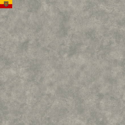 PVC podlaha TRAFFIC 644-02