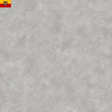 PVC podlaha TRAFFIC 644-03