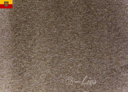 Bytový koberec IMAGO 91