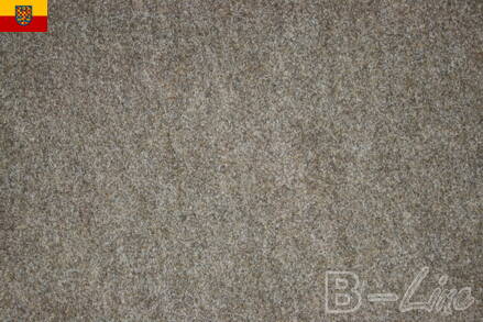 Vpichový koberec AVENUE barva 0200