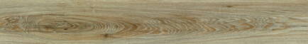 Vinylová podlaha MODULEO TRANSFORM Blackjack Oak 22229